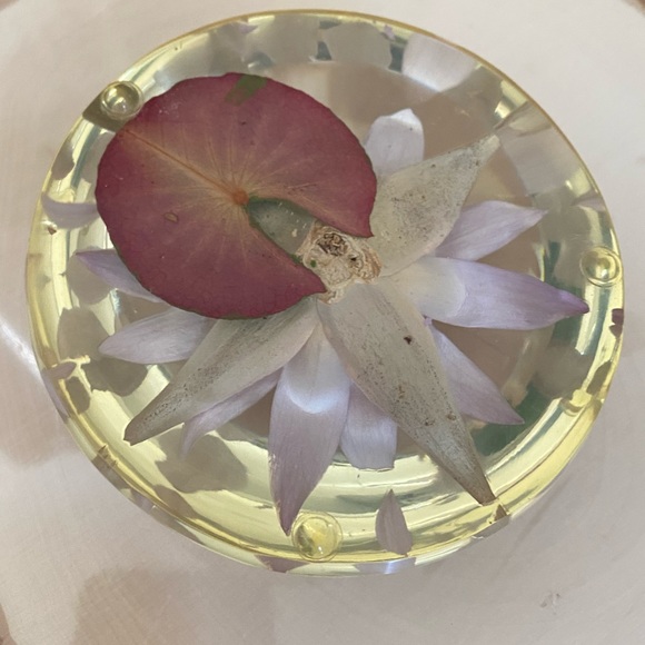 Vintage Lucite Dried Flower Domed Desk Paperweight Clear Plastic Acrylic Decor - Picture 8 of 14